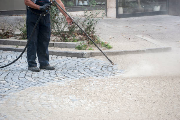 Best Driveway Pressure Washing  in Seyur, MO
